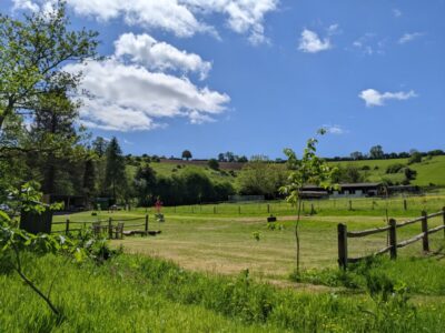 Cherry Bank | Wytch Wood Camping & Glamping | Somerset