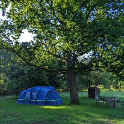 Dwarf Oak | Wytch Wood Camping & Glamping | Somerset