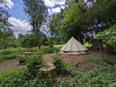 Lyons | Wytch Wood Camping & Glamping | Somerset