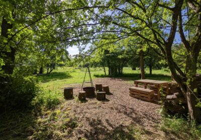 Spalted Beech | Wytch Wood Camping & Glamping | Somerset