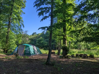 Beech Edge | Wytch Wood Camping & Glamping | Somerset