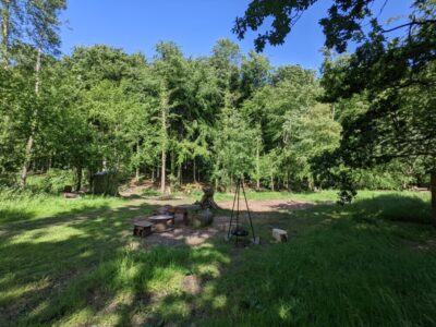 Twisted Hazel | Wytch Wood Camping & Glamping | Somerset