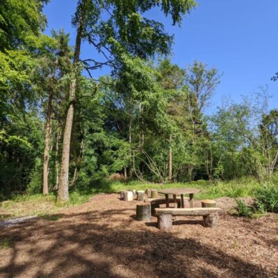 Wytch Wood Camping & Glamping | Somerset