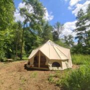 Birdsong | Wytch Wood Camping & Glamping | Somerset