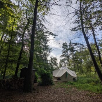 Birdsong | Wytch Wood Camping & Glamping | Somerset