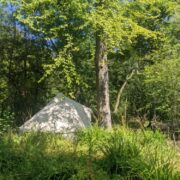 Wytch Wood Camping & Glamping | Somerset
