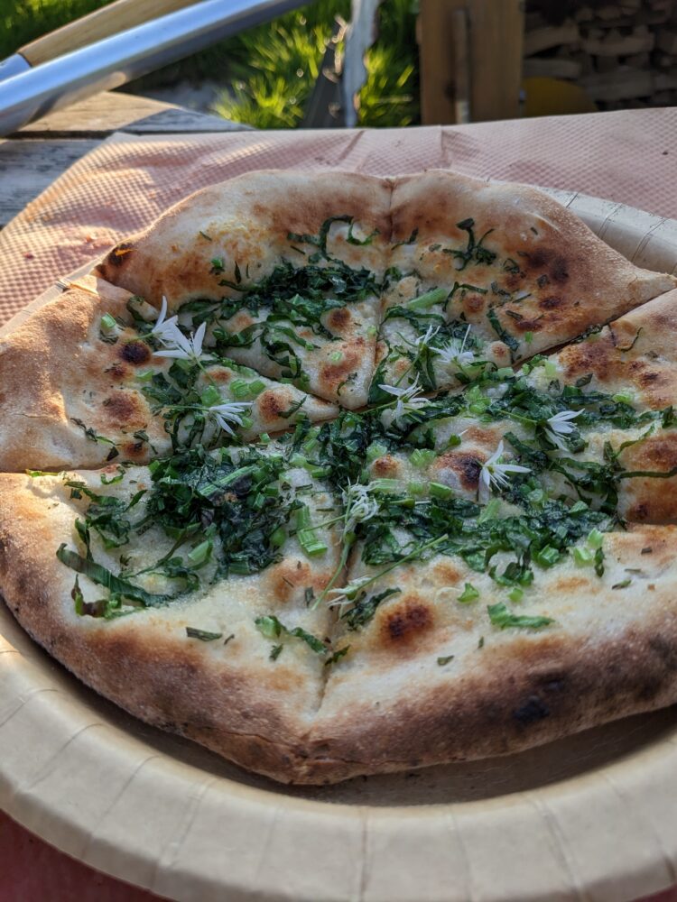 Wood-fired pizza @ Wytch Wood Camping Somerset