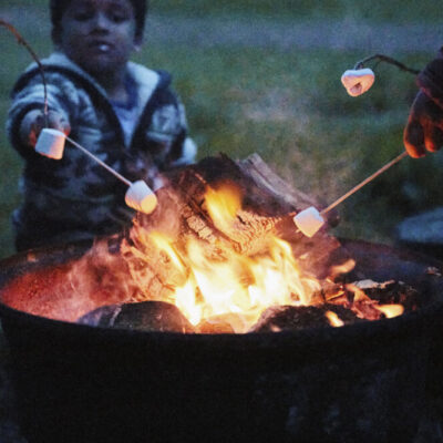 Green tips while you’re staying at Wytch Wood Camping & Glamping