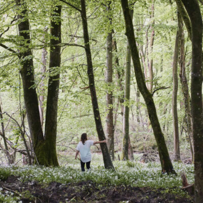 Forest Bathing with Amanda Raybould | Wytch Wood Camping