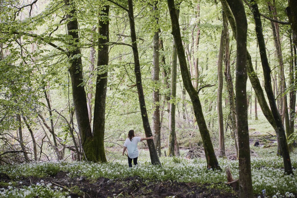 Forest Bathing with Amanda Raybould | Wytch Wood Camping