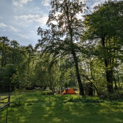 Green tips while you’re staying at Wytch Wood Camping & Glamping