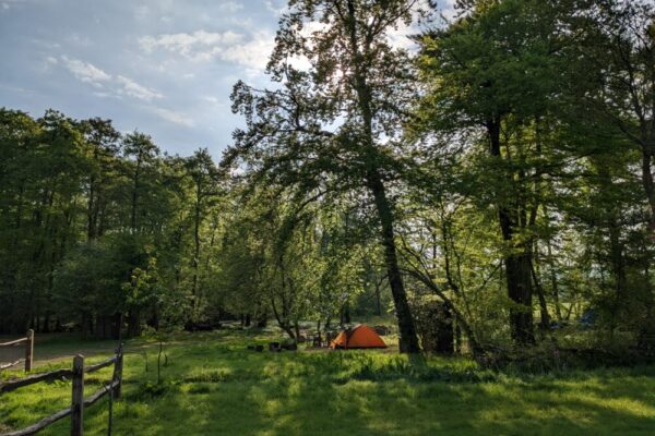 Green tips while you’re staying at Wytch Wood Camping & Glamping
