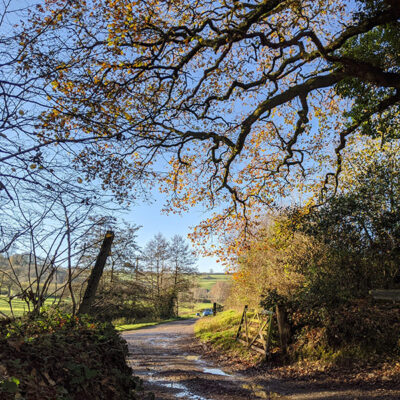 Walking Trails Around Crewkerne