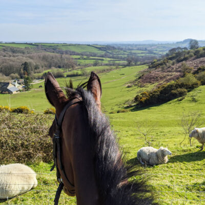 Walking Trails Around Crewkerne