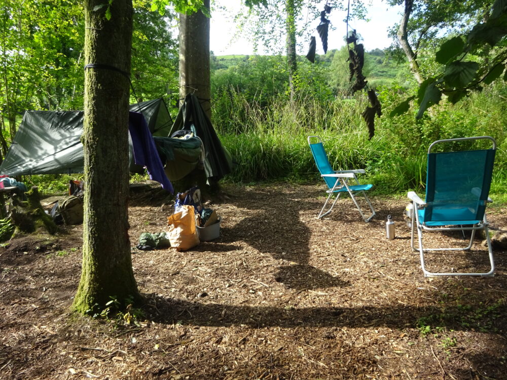 Tree tents at Wytch Wood Camping Someerset