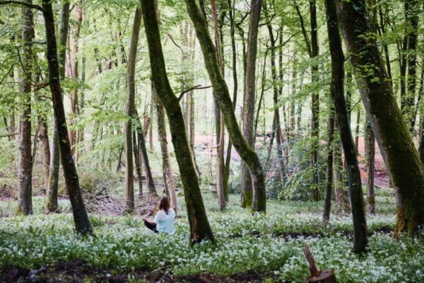 Relax at Wytch Wood Camping & Glamping | Somerset