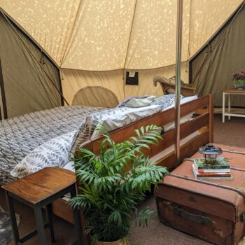 Birdsong | Wytch Wood Camping and Glamping | Somerset