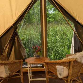 Birdsong | Wytch Wood Camping and Glamping | Somerset