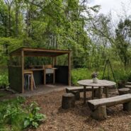 Birdsong | Wytch Wood Camping and Glamping | Somerset