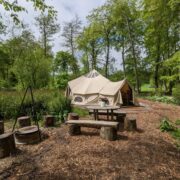 Birdsong | Wytch Wood Camping and Glamping | Somerset
