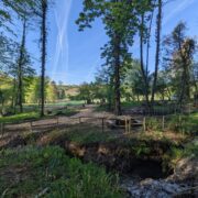 Cascade | Wytch Wood Camping & Glamping | Somerset