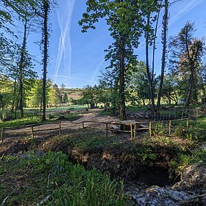 Pitch 9 - Cascade | Wytch Wood Camping & Glamping | Somerset