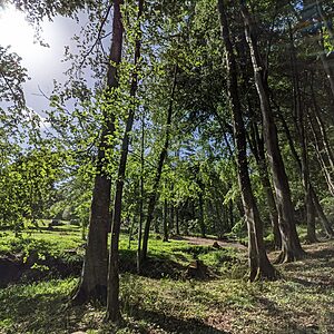 Pitch 9 - Cascade | Wytch Wood Camping & Glamping | Somerset