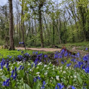 Pitch 9 - Cascade | Wytch Wood Camping & Glamping | Somerset