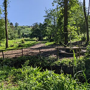 Pitch 9 - Cascade | Wytch Wood Camping & Glamping | Somerset