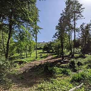 Pitch 9 - Cascade | Wytch Wood Camping & Glamping | Somerset