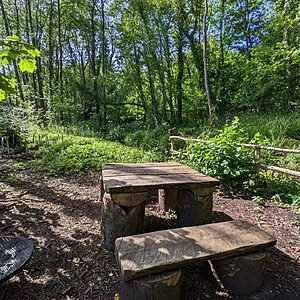 Pitch 9 - Cascade | Wytch Wood Camping & Glamping | Somerset