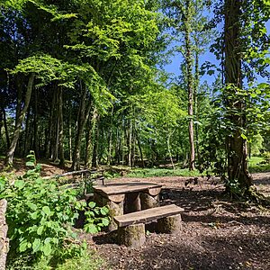 Pitch 9 - Cascade | Wytch Wood Camping & Glamping | Somerset