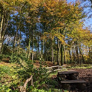 Pitch 9 - Cascade | Wytch Wood Camping & Glamping | Somerset