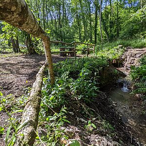Pitch 9 - Cascade | Wytch Wood Camping & Glamping | Somerset