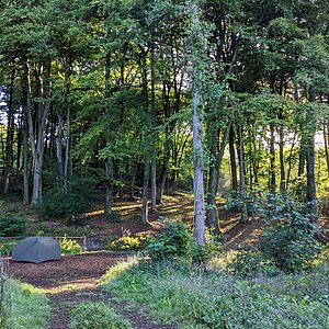 Pitch 9 - Cascade | Wytch Wood Camping & Glamping | Somerset