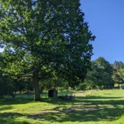 Dutch Oak Corner | Wytch Wood Camping and Glamping | Somerset