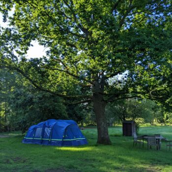 Dutch Oak Corner | Wytch Wood Camping and Glamping | Somerset