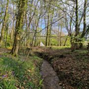 High Beeches | Wytch Wood Camping & Glamping | Somerset