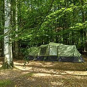 Pitch 6 - High Beeches | Wytch Wood Camping & Glamping | Somerset