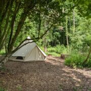 Lyons | Wytch Wood Camping and Glamping | Somerset
