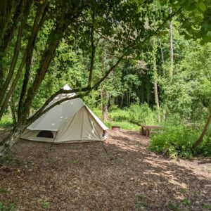 Pitch 10 - Lyons | Wytch Wood Camping and Glamping | Somerset