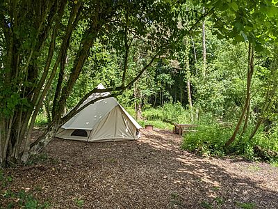 Pitch 10 - Lyons | Wytch Wood Camping and Glamping | Somerset Pitch 10 - Lyons | Wytch Wood Camping and Glamping | Somerset