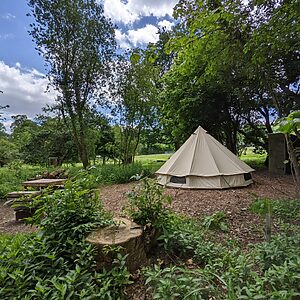 Pitch 10 - Lyons | Wytch Wood Camping and Glamping | Somerset