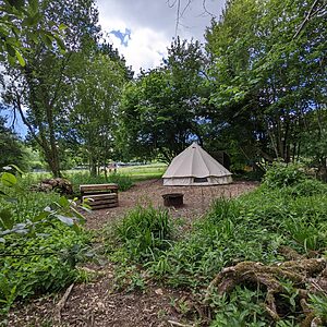 Pitch 10 - Lyons | Wytch Wood Camping and Glamping | Somerset