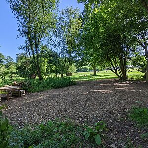 Pitch 10 - Lyons | Wytch Wood Camping and Glamping | Somerset