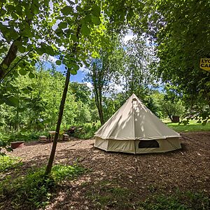 Pitch 10 - Lyons | Wytch Wood Camping and Glamping | Somerset