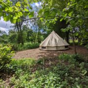 Lyons | Wytch Wood Camping and Glamping | Somerset