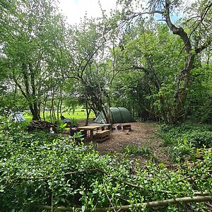 Pitch 10 - Lyons | Wytch Wood Camping and Glamping | Somerset