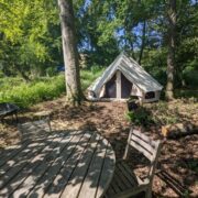 Oak Tree Island | Wytch Wood Camping & Glamping | Somerset