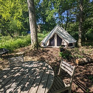 Pitch 3 - Oak Tree Island | Wytch Wood Camping & Glamping | Somerset